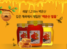 Baegunsan Mountain honey