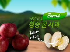 cheong song apple